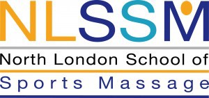 nlssm_logo